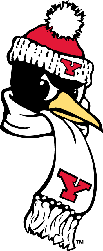 Youngstown State Penguins 1993-Pres Alternate Logo 02 vinyl decal